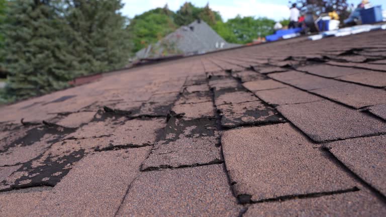 Best Asphalt Shingles Roofing  in Montvale, NJ